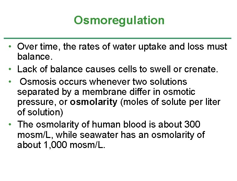 Osmoregulation • Over time, the rates of water uptake and loss must balance. • Osmoregulation • Over time, the rates of water uptake and loss must balance. •