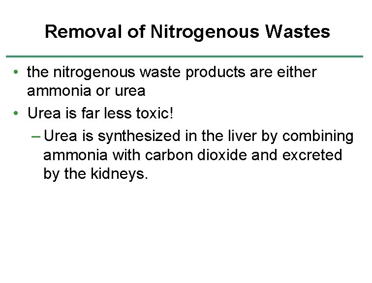 Removal of Nitrogenous Wastes • the nitrogenous waste products are either ammonia or urea Removal of Nitrogenous Wastes • the nitrogenous waste products are either ammonia or urea