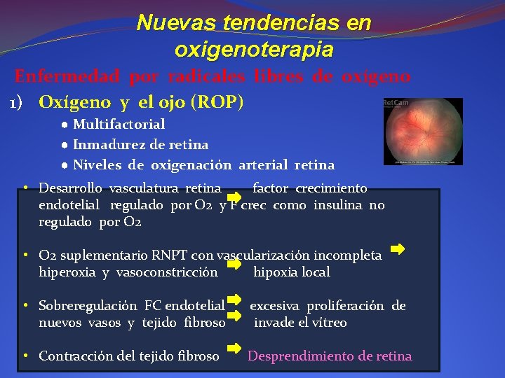 Nuevas tendencias en oxigenoterapia Enfermedad por radicales libres de oxígeno 1) Oxígeno y el