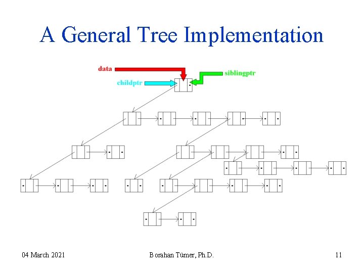 A General Tree Implementation 04 March 2021 Borahan Tümer, Ph. D. 11 A General Tree Implementation 04 March 2021 Borahan Tümer, Ph. D. 11