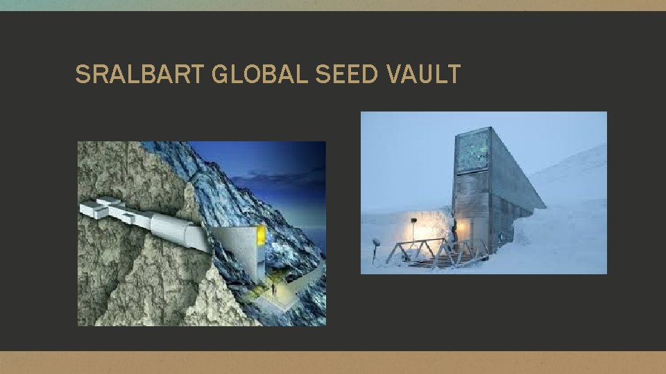SRALBART GLOBAL SEED VAULT 