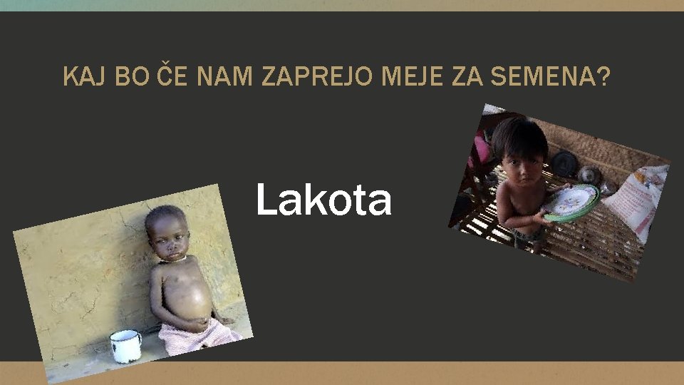 KAJ BO ČE NAM ZAPREJO MEJE ZA SEMENA? Lakota 