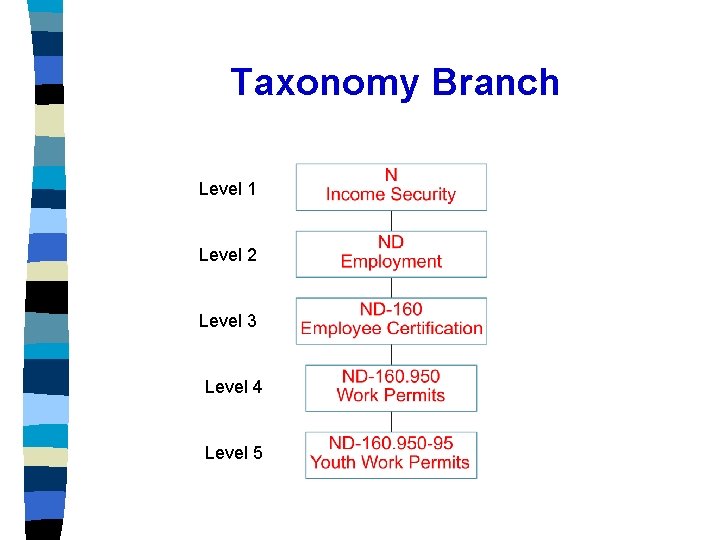 Taxonomy Branch Level 1 Level 2 Level 3 Level 4 Level 5 