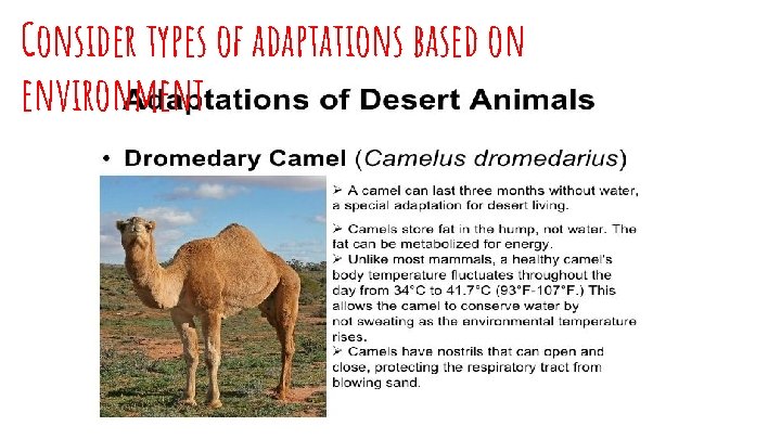 Consider types of adaptations based on environment 