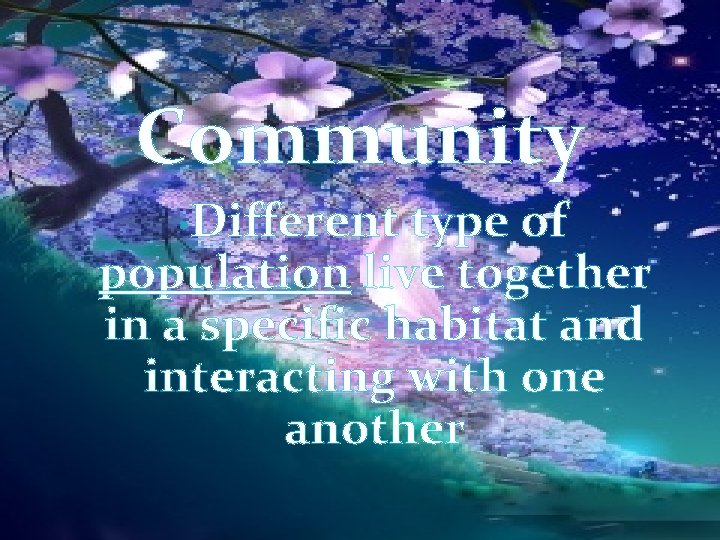 Community • Different type of population live together in a specific habitat and interacting