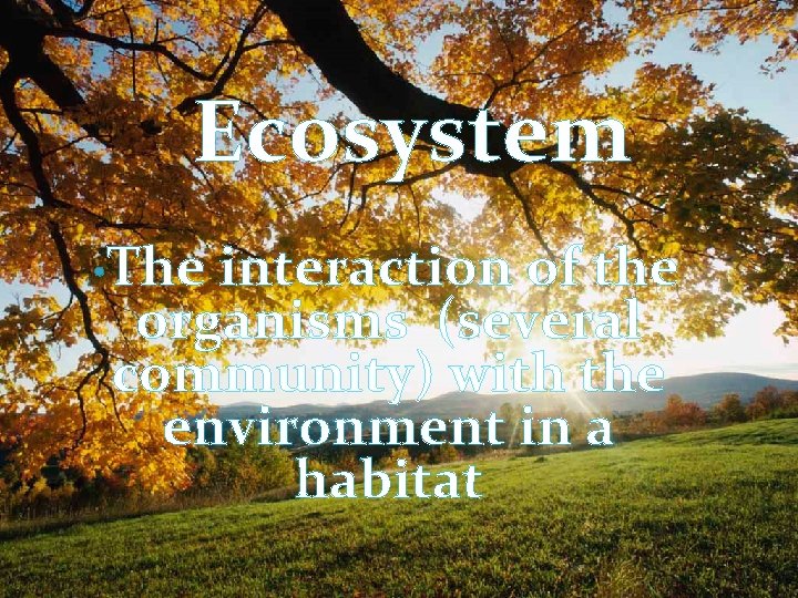 Ecosystem • The interaction of the organisms (several community) with the environment in a