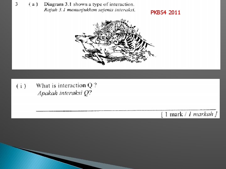 APKBS 4 2011 