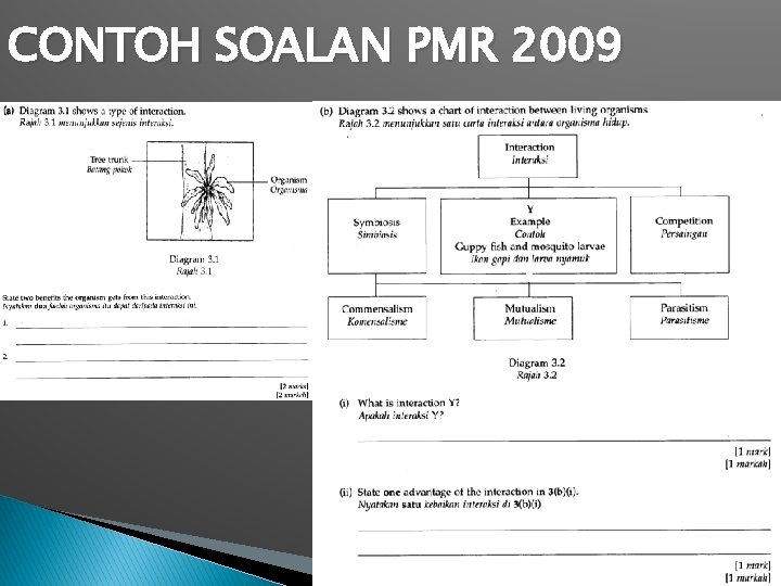 CONTOH SOALAN PMR 2009 