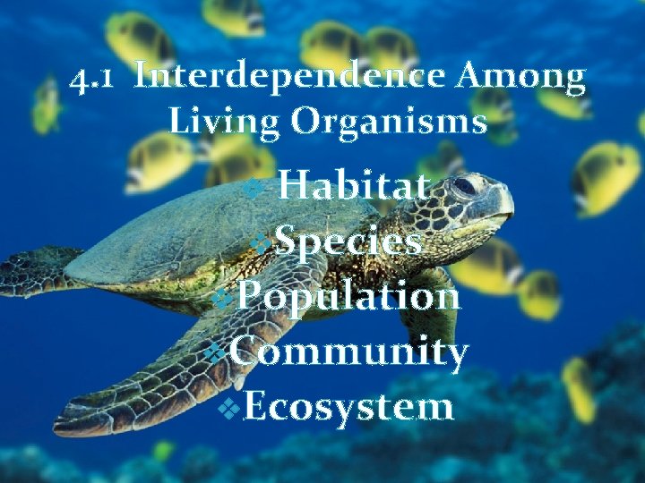 4. 1 Interdependence Among Living Organisms Habitat v. Species v. Population v. Community v.