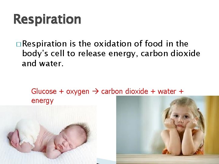 Respiration � Respiration is the oxidation of food in the body’s cell to release