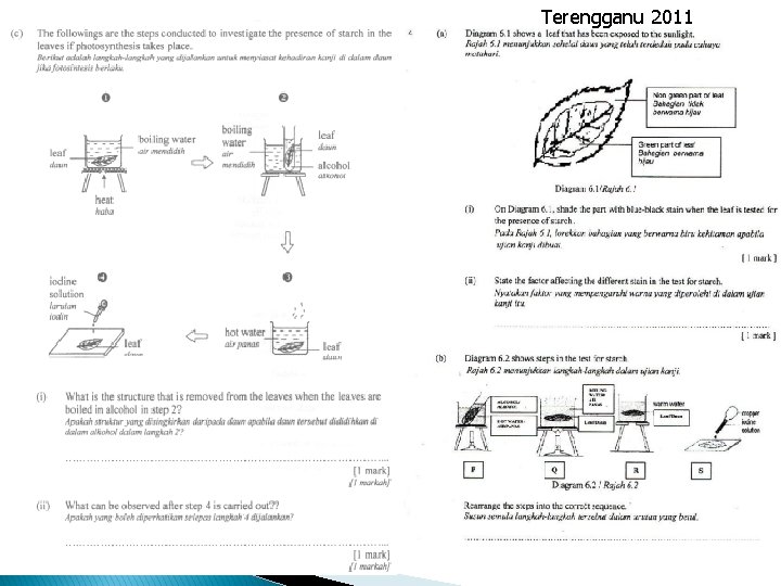 Terengganu 2011 