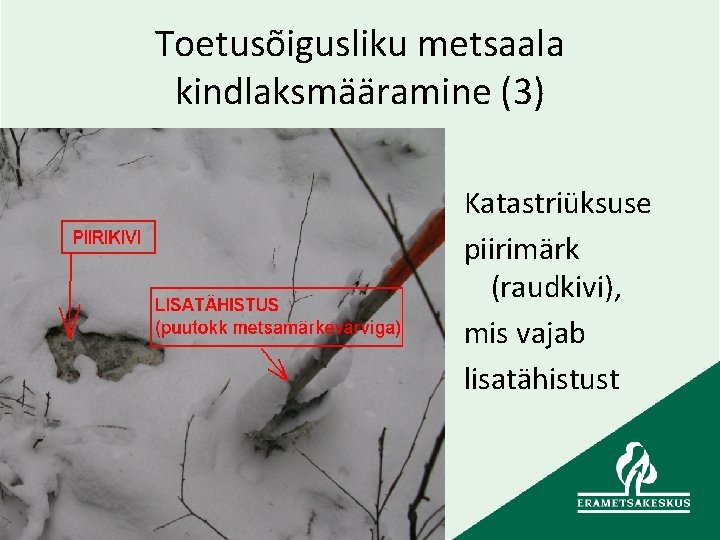 Toetusõigusliku metsaala kindlaksmääramine (3) Katastriüksuse piirimärk (raudkivi), mis vajab lisatähistust 