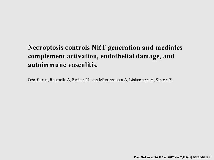 Necroptosis controls NET generation and mediates complement activation, endothelial damage, and autoimmune vasculitis. Schreiber