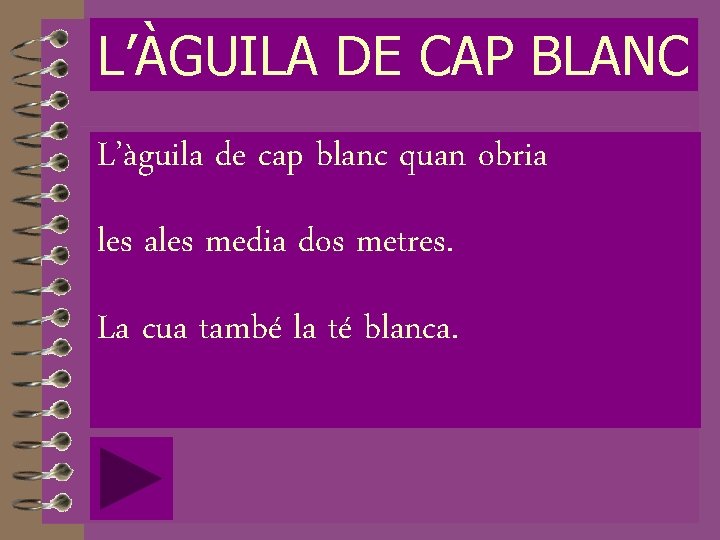 L’ÀGUILA DE CAP BLANC L’àguila de cap blanc quan obria les ales media dos