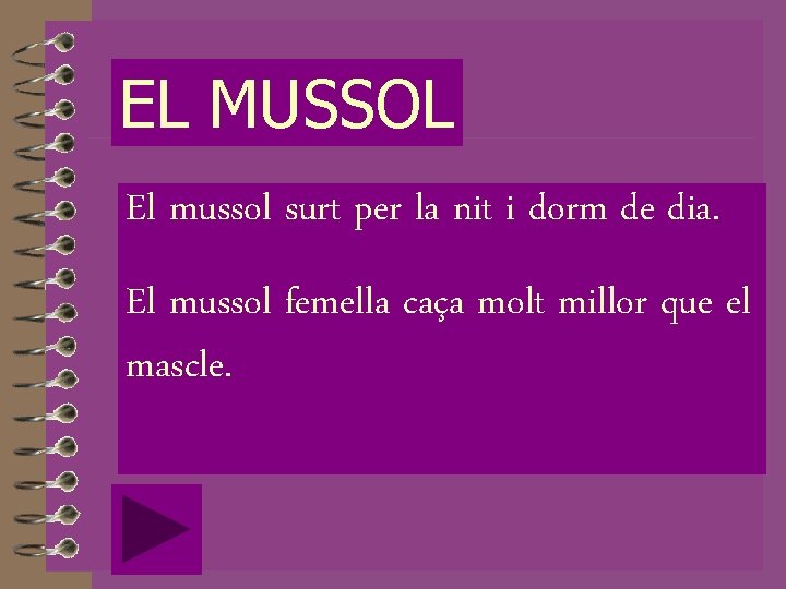 EL MUSSOL El mussol surt per la nit i dorm de dia. El mussol