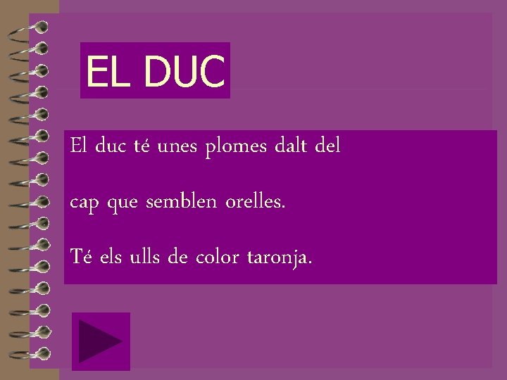 EL DUC El duc té unes plomes dalt del cap que semblen orelles. Té