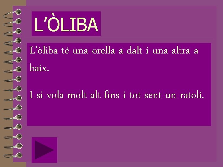 L’ÒLIBA L’òliba té una orella a dalt i una altra a baix. I si