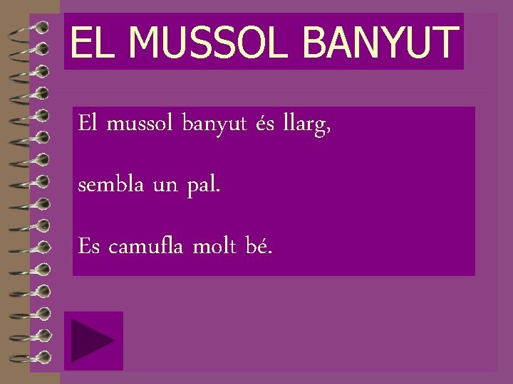 EL MUSSOL BANYUT El mussol banyut és llarg, sembla un pal. Es camufla molt