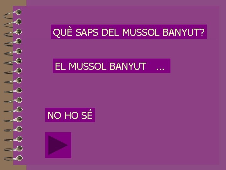 QUÈ SAPS DEL MUSSOL BANYUT? EL MUSSOL BANYUT. . . NO HO SÉ 