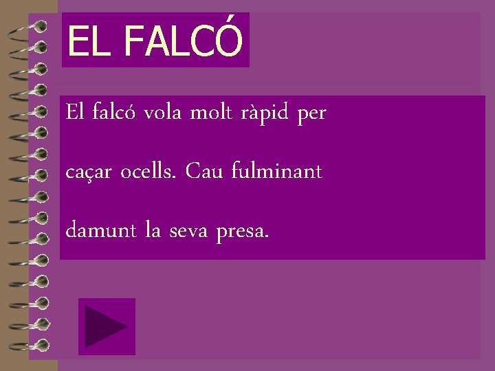 EL FALCÓ El falcó vola molt ràpid per caçar ocells. Cau fulminant damunt la