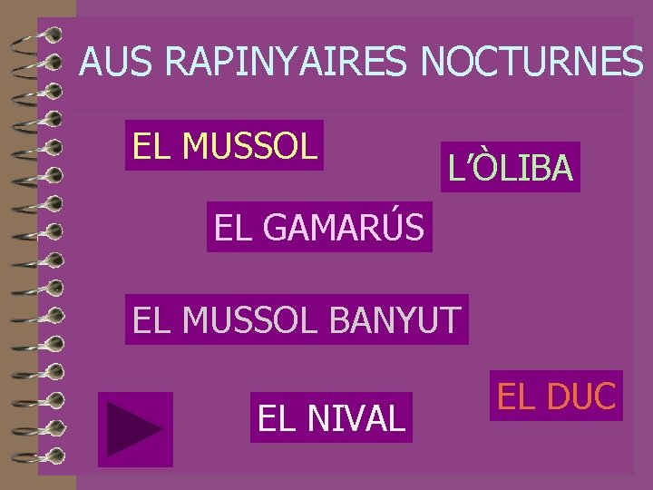 AUS RAPINYAIRES NOCTURNES EL MUSSOL L’ÒLIBA EL GAMARÚS EL MUSSOL BANYUT EL NIVAL EL