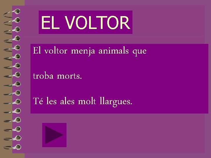 EL VOLTOR El voltor menja animals que troba morts. Té les ales molt llargues.