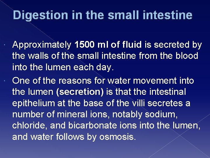 Digestion in the small intestine Approximately 1500 ml of fluid is secreted by the