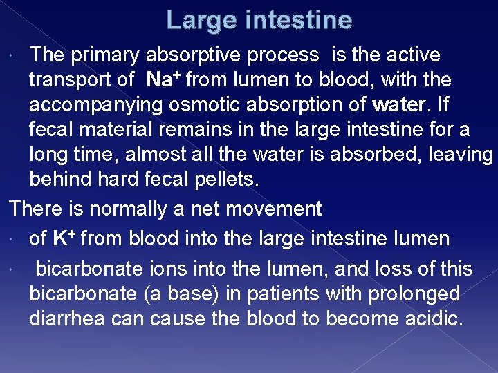  Large intestine The primary absorptive process is the active transport of Na+ from