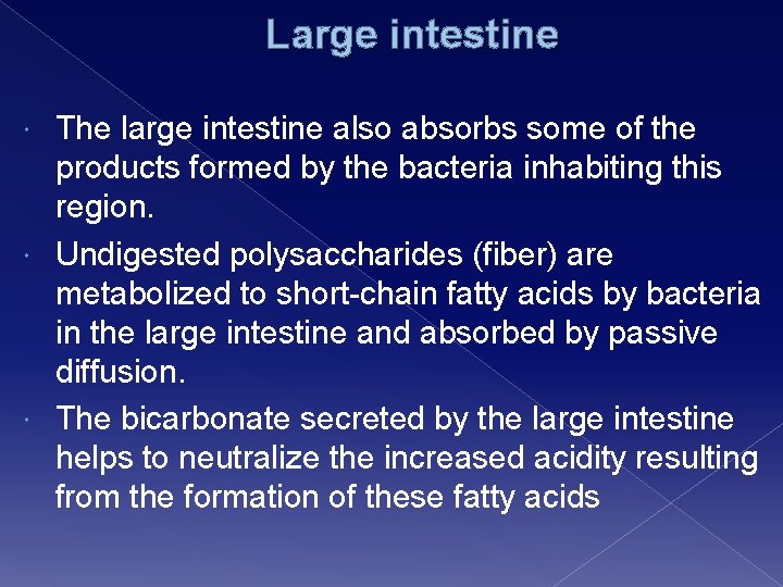 Large intestine The large intestine also absorbs some of the products formed by the