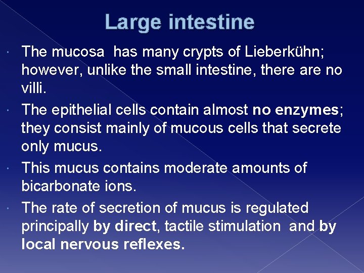 Large intestine The mucosa has many crypts of Lieberkühn; however, unlike the small intestine,