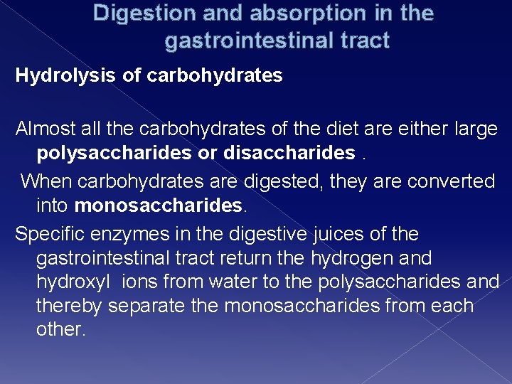 Digestion and absorption in the gastrointestinal tract Hydrolysis of carbohydrates Almost all the carbohydrates