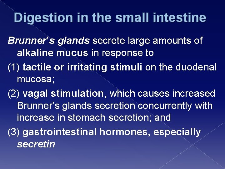 Digestion in the small intestine Brunner’s glands secrete large amounts of alkaline mucus in