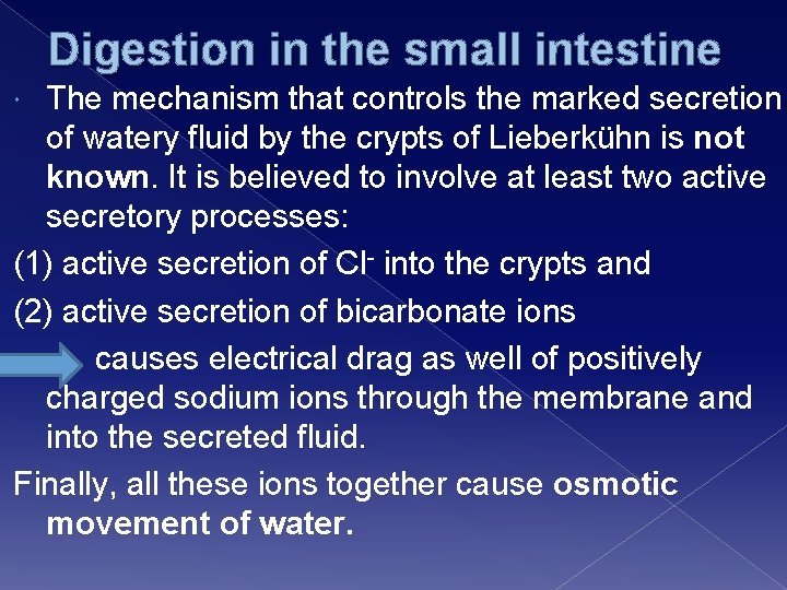 Digestion in the small intestine The mechanism that controls the marked secretion of watery