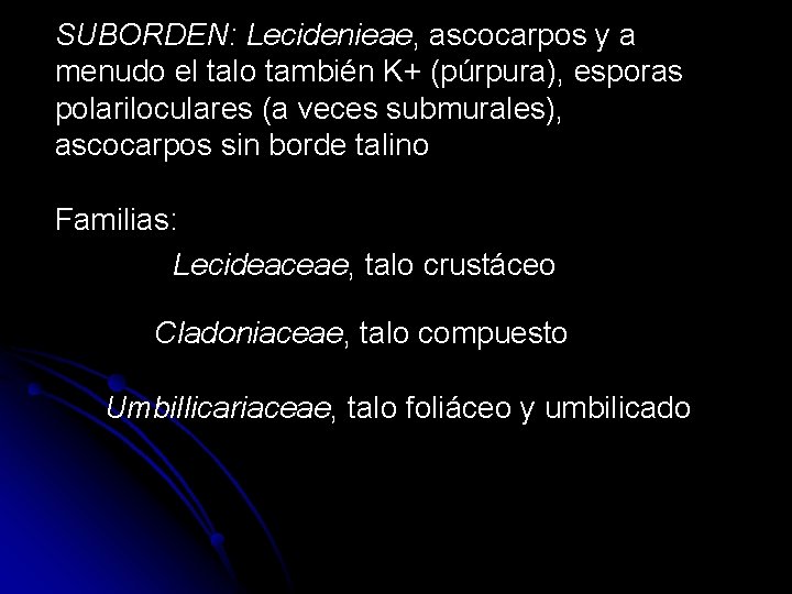 SUBORDEN: Lecidenieae, ascocarpos y a menudo el talo también K+ (púrpura), esporas polariloculares (a