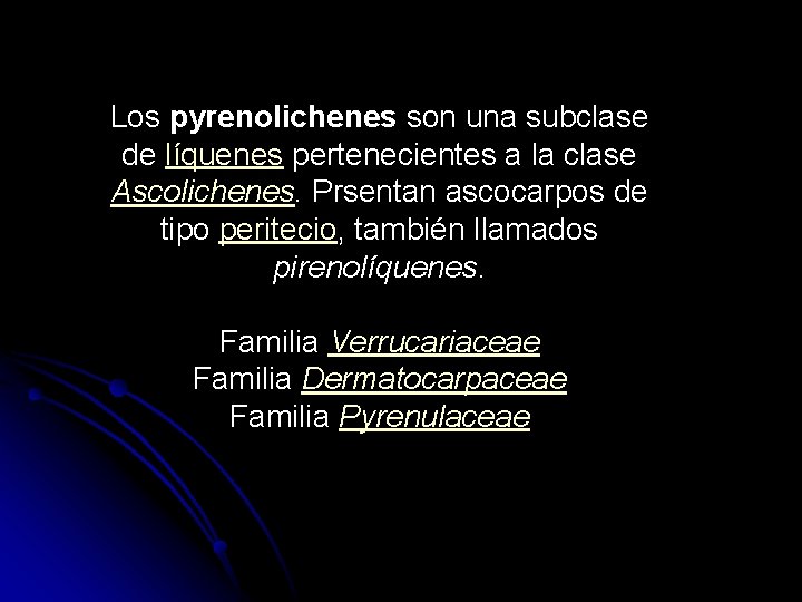 Los pyrenolichenes son una subclase de líquenes pertenecientes a la clase Ascolichenes. Prsentan ascocarpos