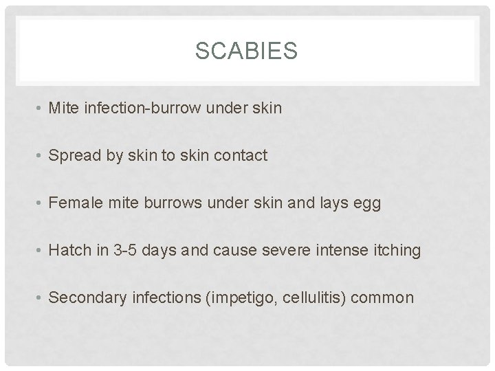SCABIES • Mite infection-burrow under skin • Spread by skin to skin contact • SCABIES • Mite infection-burrow under skin • Spread by skin to skin contact •