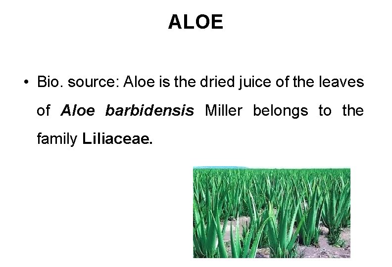 ALOE • Bio. source: Aloe is the dried juice of the leaves of Aloe