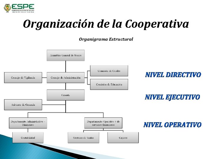 Organización de la Cooperativa Organigrama Estructural 