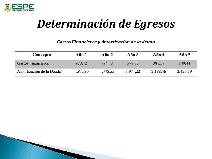 Determinación de Egresos Gastos Financieros y Amortización de la deuda 