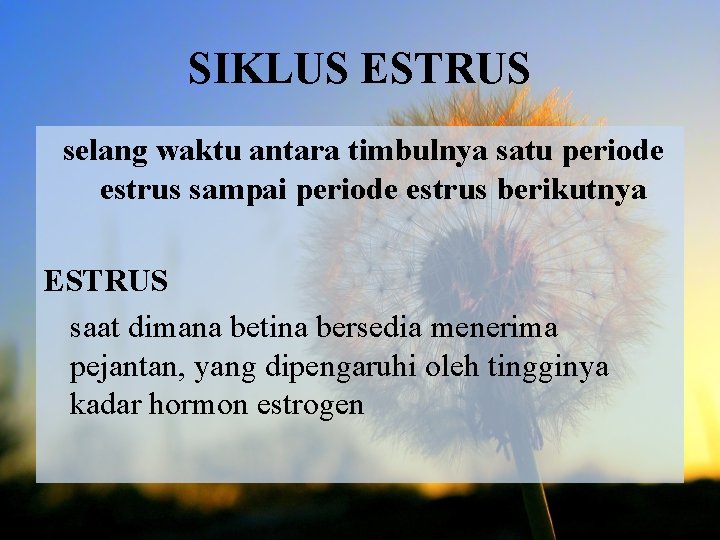 SIKLUS ESTRUS selang waktu antara timbulnya satu periode estrus sampai periode estrus berikutnya ESTRUS