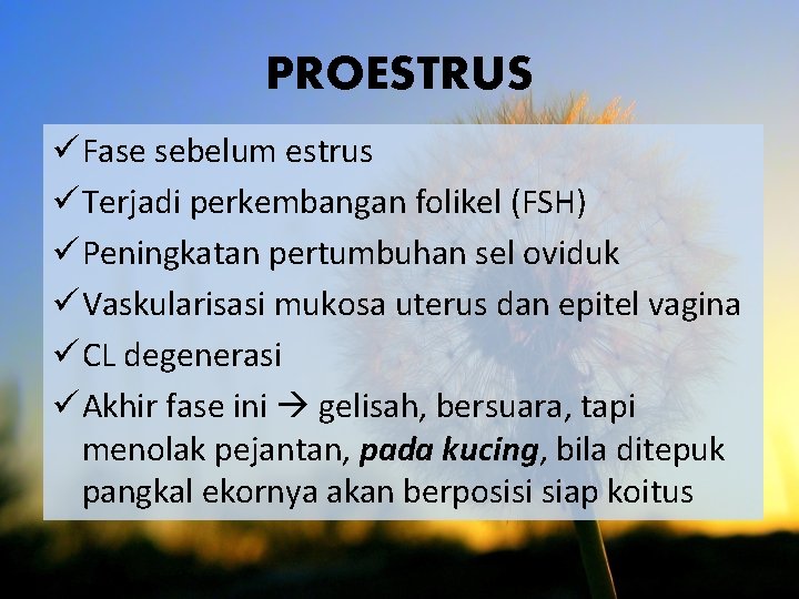 PROESTRUS ü Fase sebelum estrus ü Terjadi perkembangan folikel (FSH) ü Peningkatan pertumbuhan sel