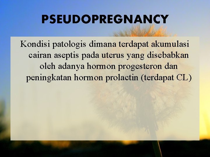 PSEUDOPREGNANCY Kondisi patologis dimana terdapat akumulasi cairan aseptis pada uterus yang disebabkan oleh adanya