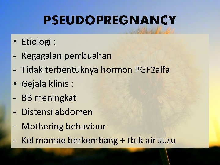 PSEUDOPREGNANCY • • - Etiologi : Kegagalan pembuahan Tidak terbentuknya hormon PGF 2 alfa