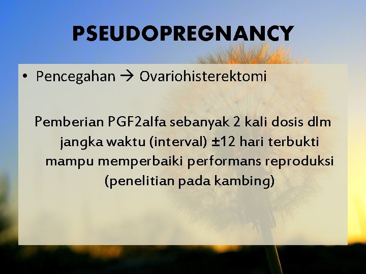 PSEUDOPREGNANCY • Pencegahan Ovariohisterektomi Pemberian PGF 2 alfa sebanyak 2 kali dosis dlm jangka
