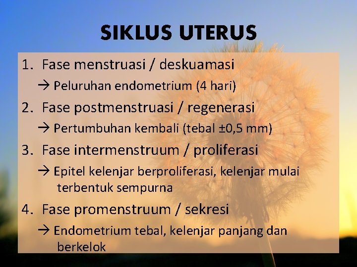 SIKLUS UTERUS 1. Fase menstruasi / deskuamasi Peluruhan endometrium (4 hari) 2. Fase postmenstruasi