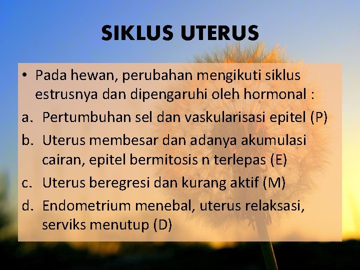 SIKLUS UTERUS • Pada hewan, perubahan mengikuti siklus estrusnya dan dipengaruhi oleh hormonal :