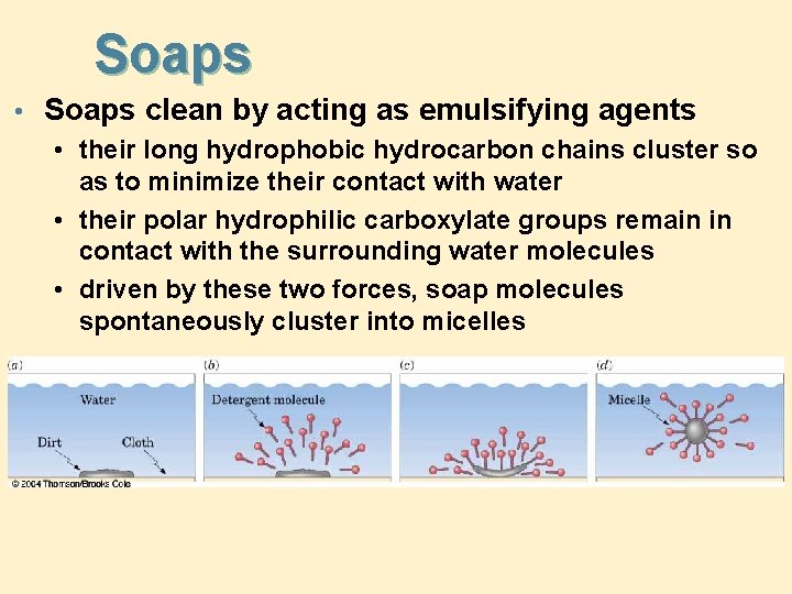 Soaps • Soaps clean by acting as emulsifying agents • their long hydrophobic hydrocarbon