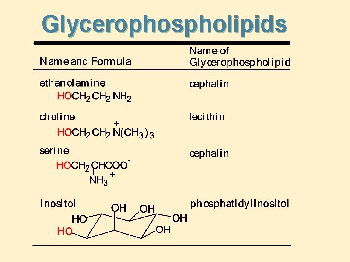 Glycerophospholipids 