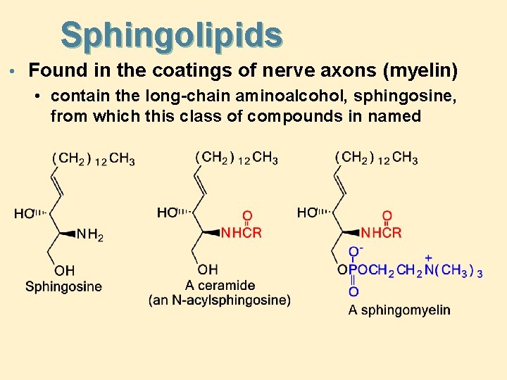 Sphingolipids • Found in the coatings of nerve axons (myelin) • contain the long-chain