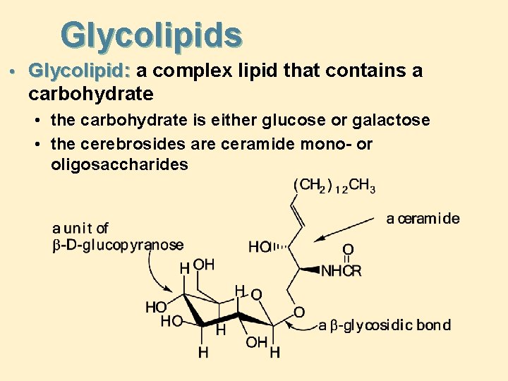 Glycolipids • Glycolipid: a complex lipid that contains a carbohydrate • the carbohydrate is